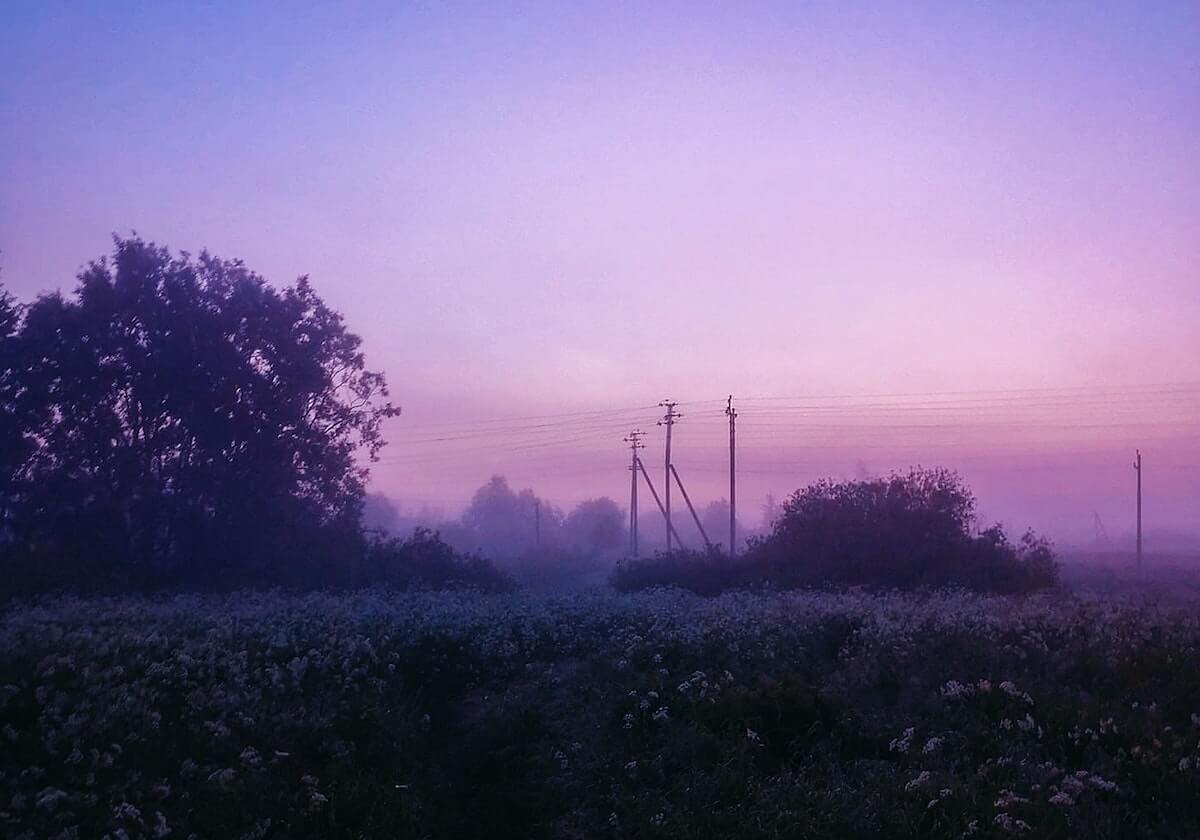 开云官网：引领数字时代的信任与体验